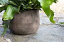 Zadie Etched Ceramic Planters - Grey - (Set of 2)-nkuku