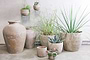 Nkuku Vases & Planters Affiti Clay Hanging Planter