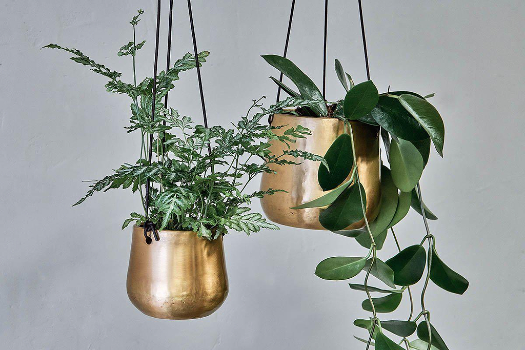 https://sfycdn.speedsize.com/aa5d6cd7-da91-4546-92d9-893ea42dd7ff/https://www.nkuku.com/cdn/shop/products/nkuku-atsu-brass-hanging-planter-14976411861101.jpg?v=1626812143&width=1024