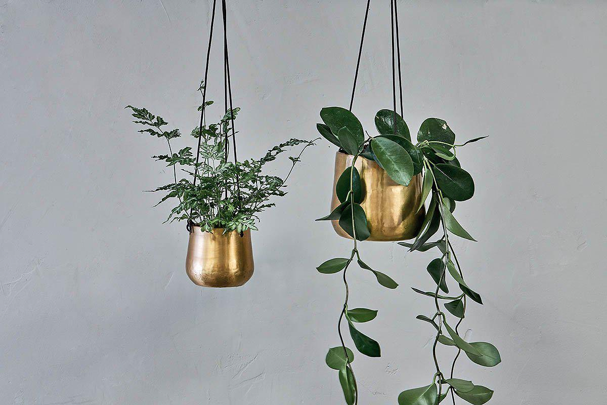 Hanging Brass Planter — Articulture Designs