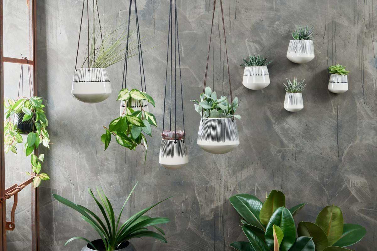 Nkuku Vases & Planters Matamba Ceramic Hanging Planter - Match