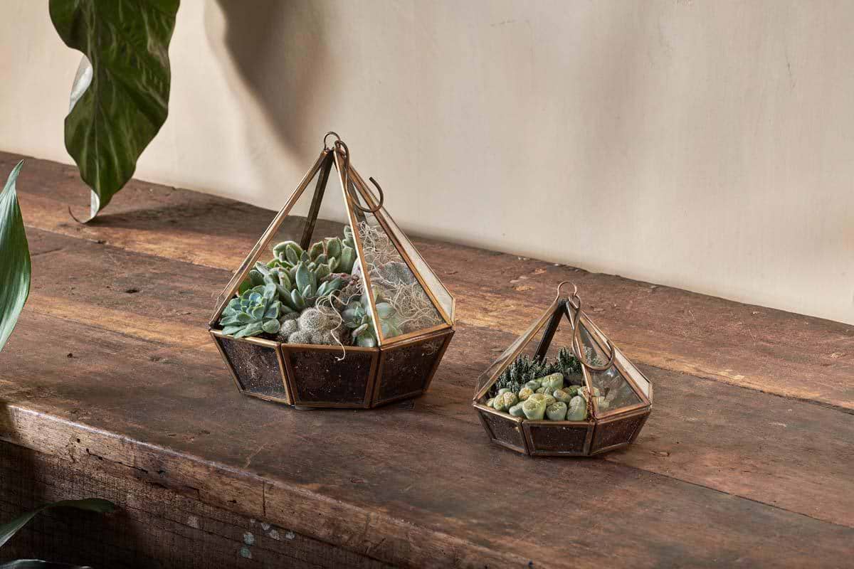 Nkuku Vases & Planters Mina Hanging Terrarium