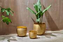 Nkuku Vases & Planters Tembesi Etched Planter - Antique Brass