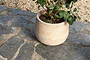 nkuku VASES & PLANTERS Zadie Etched Ceramic Planter - Neutral - Set Of 2