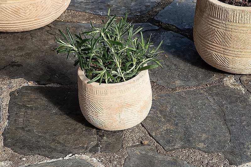 nkuku VASES & PLANTERS Zadie Etched Ceramic Planter - Neutral - Small