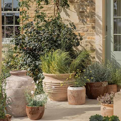 A Seasonal Guide to Spring Planting