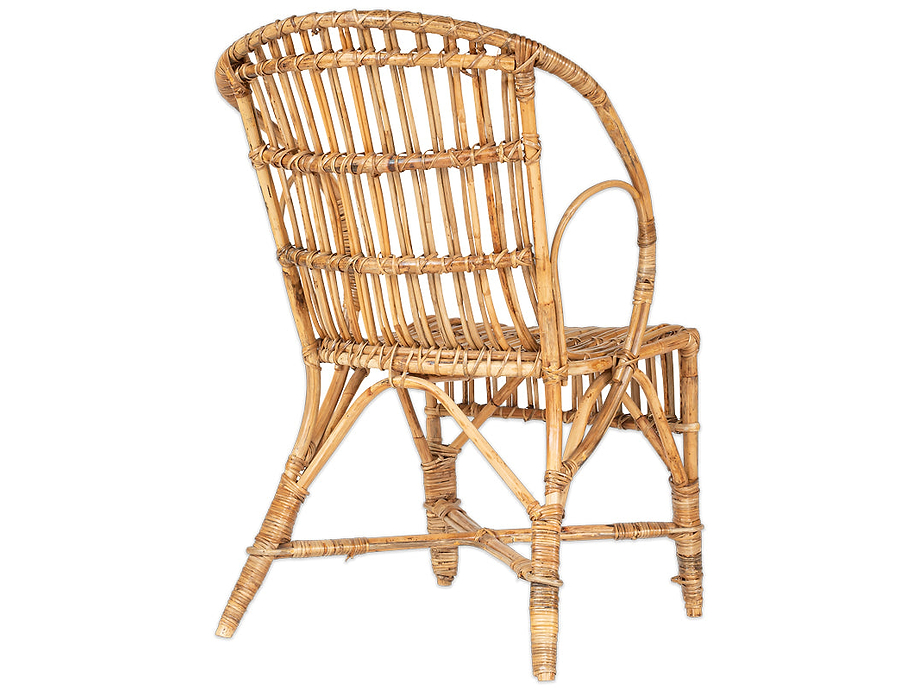 Ajaya Rattan Dining Chair