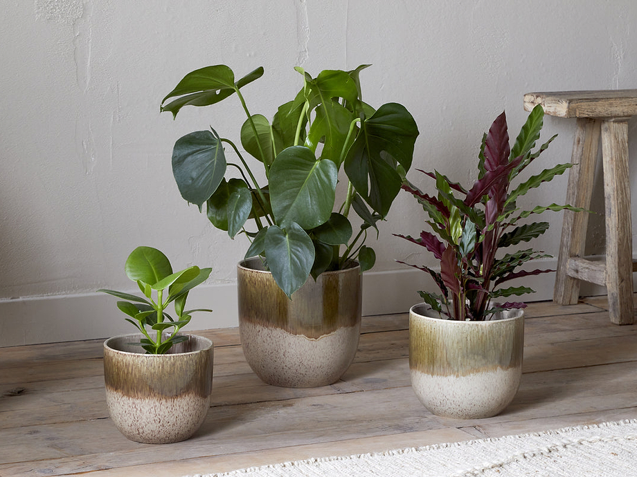 Almeida Reactive Glaze Plant Pot - Olive & Natural