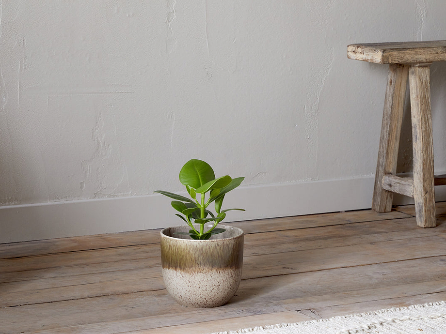 Almeida Reactive Glaze Plant Pot - Olive & Natural