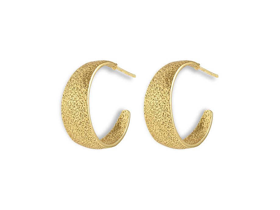 Aavani Earrings - Gold