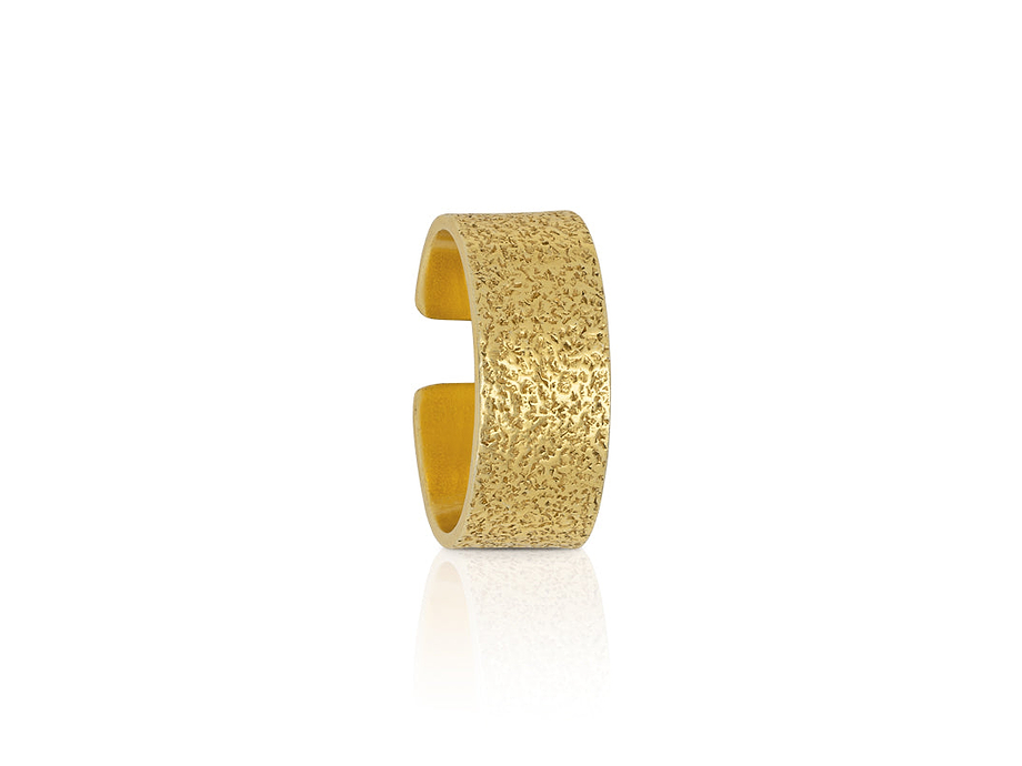 Aavani Ring - Gold