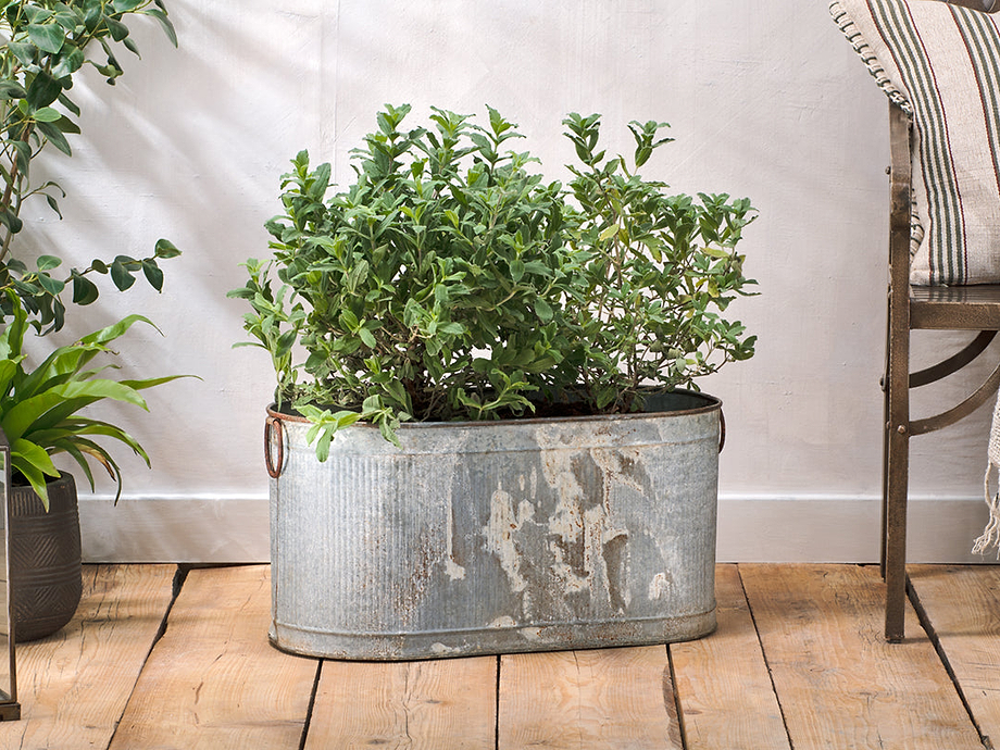 Akasa Trough Planter - Zinc