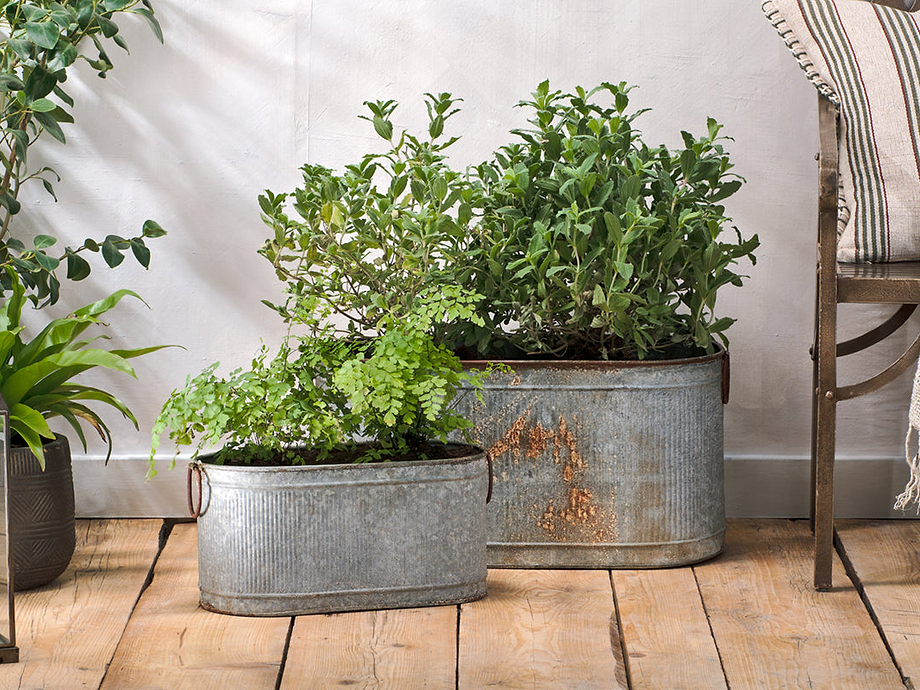 Akasa Trough Planter - Zinc