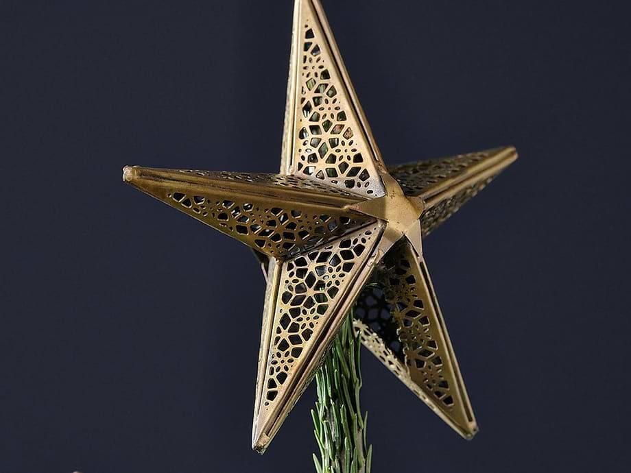 Bishakha Star Tree Topper