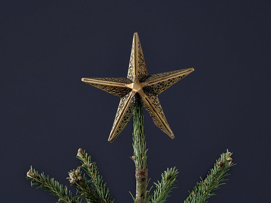 Bishakha Star Tree Topper