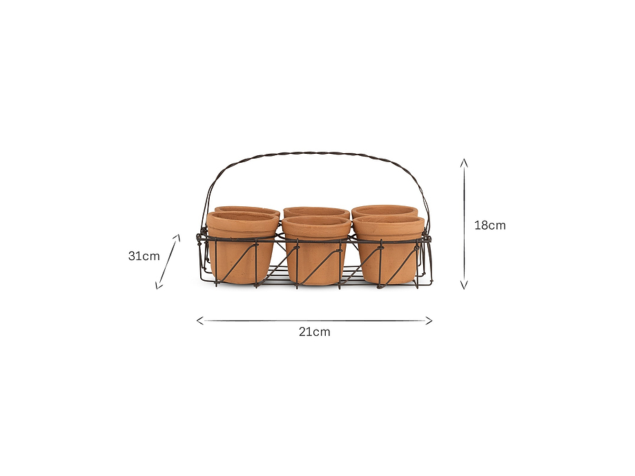 Dilipa Terracotta Multi Planter - Terracotta