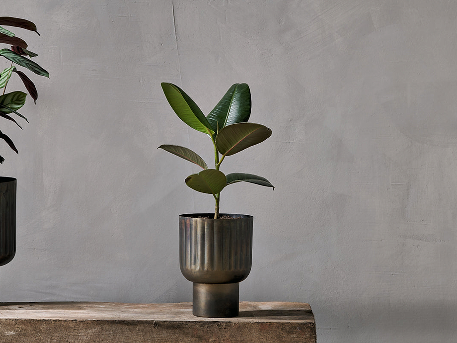 Dasalla Planter - Aged Brass