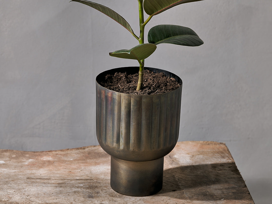 Dasalla Planter - Aged Brass