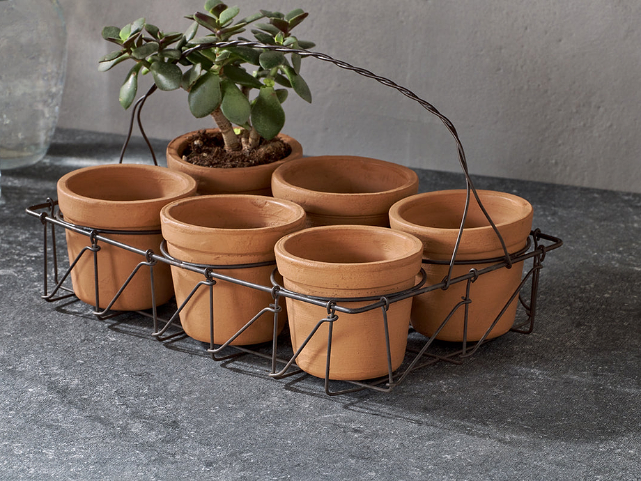 Dilipa Terracotta Multi Planter - Terracotta