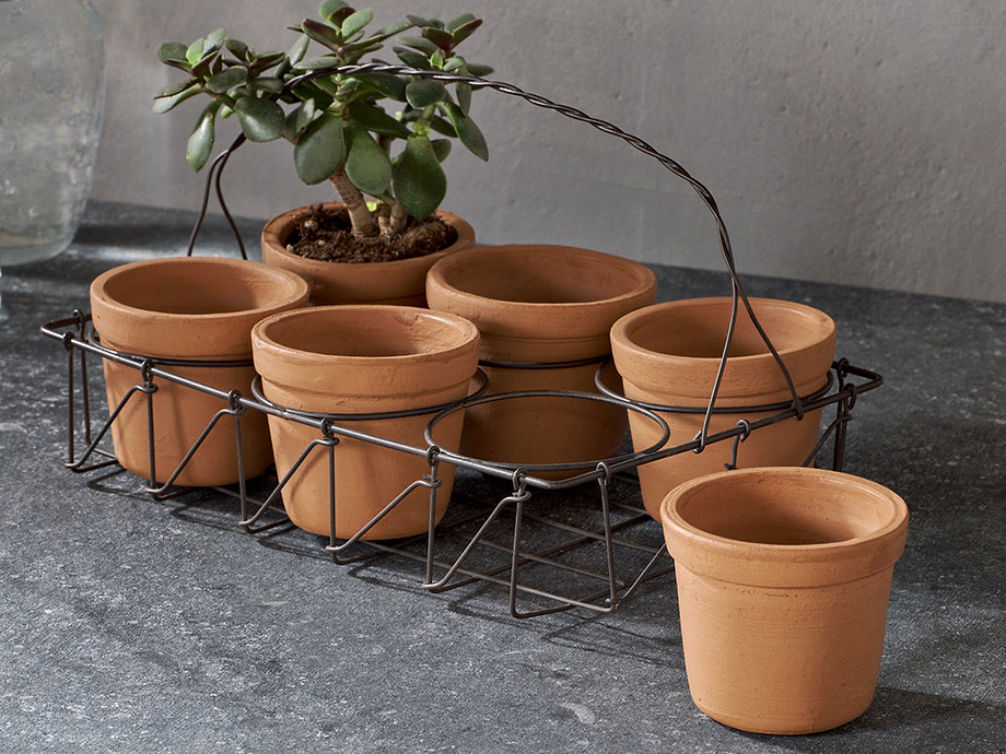 Dilipa Terracotta Multi Planter - Terracotta