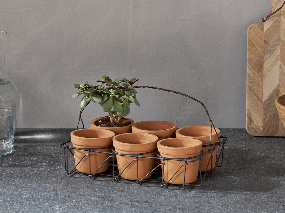 Dilipa Terracotta Multi Planter - Terracotta