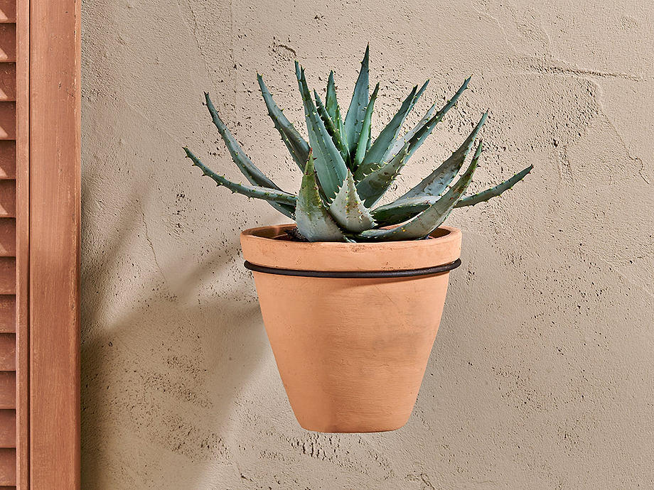 Jara Single Wall Hung Planter