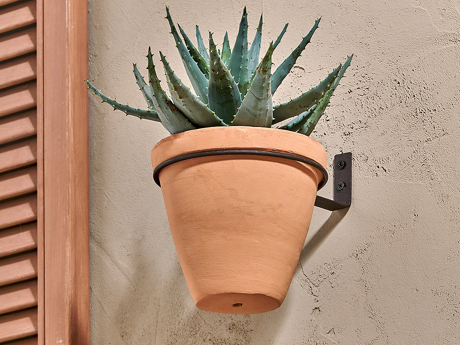 Jara Single Wall Hung Planter