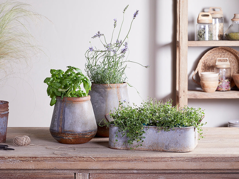 Japos Outdoor Planter Tray - Aged Zinc