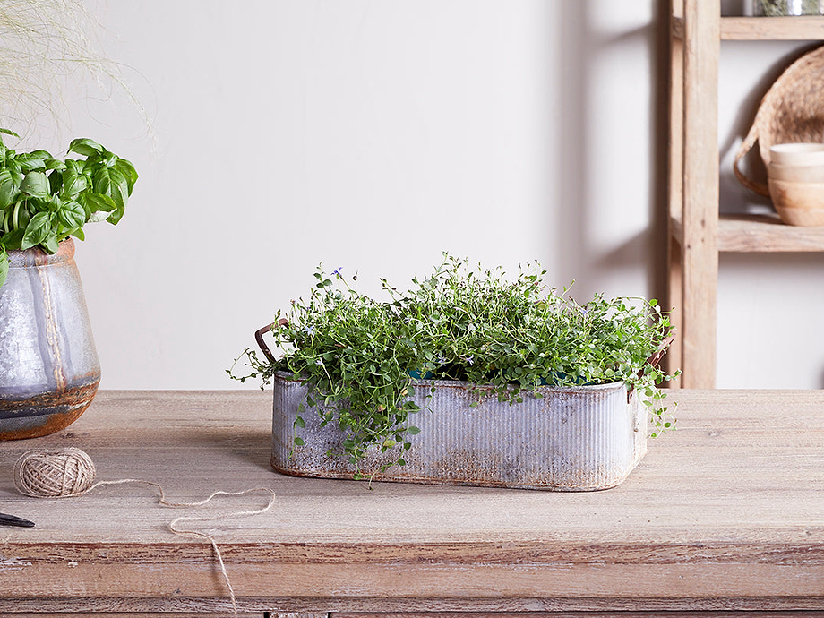 Japos Outdoor Planter Tray - Aged Zinc