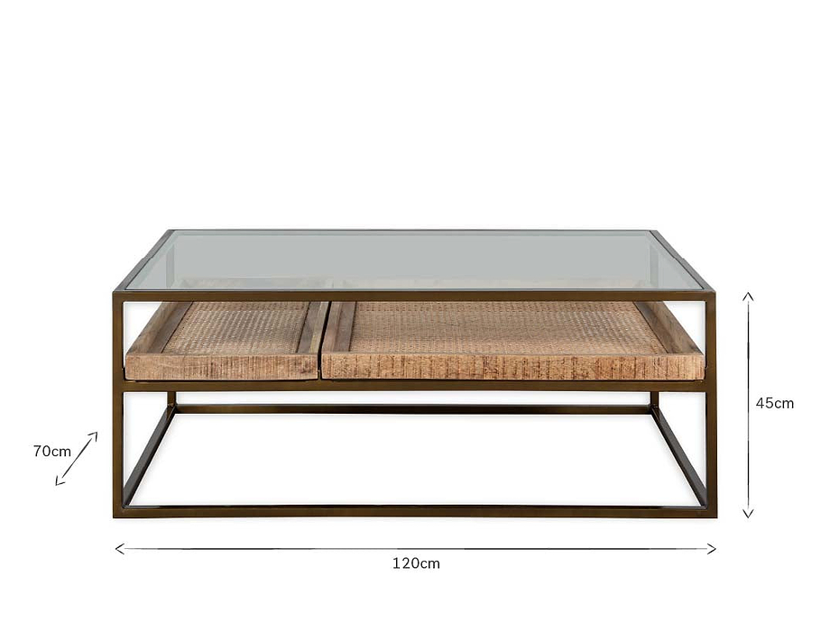 Luzon Iron & Mango Wood Display Coffee Table - Brass