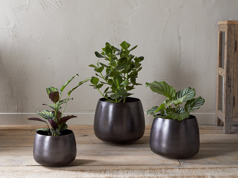 Maliki Plant Pot - Aged Bronze