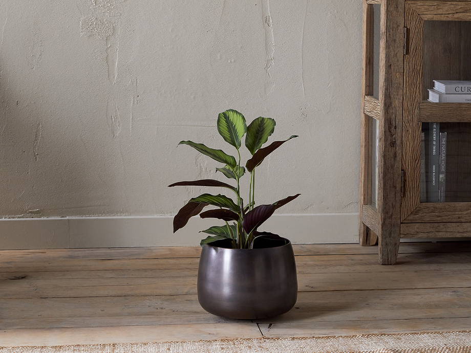 Maliki Plant Pot - Aged Bronze