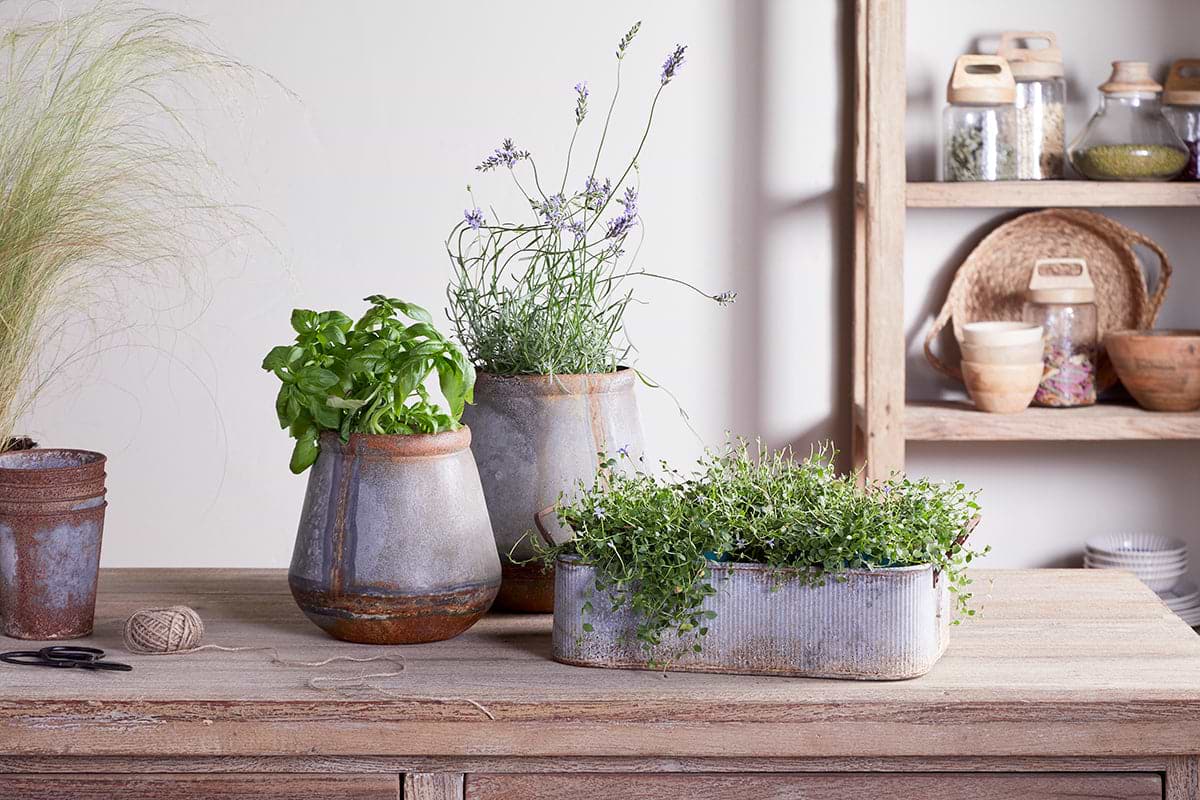 Mamba Outdoor Planter - Aged Zinc