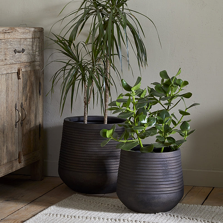 Two potted houseplants—one tall and spiky, one shorter with round leaves—sit in nkuku’s Lmaga Metal Grooved Planters in aged black on a wooden floor beside a rustic cabinet, with a woven rug and upholstered chair nearby.