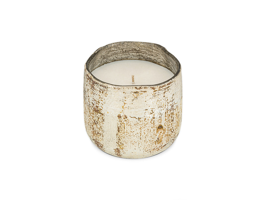 Juniper & Fir 1 Wick Scented Candle