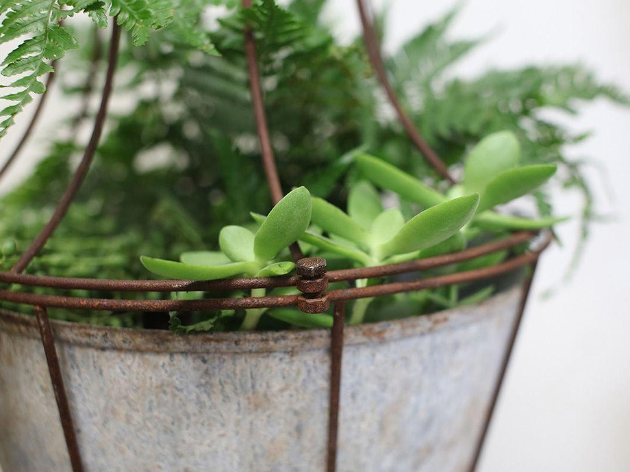 Abari Caged Hanging Planter