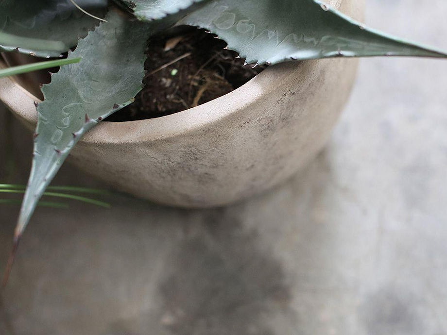 Affiti Clay Planter - Medium