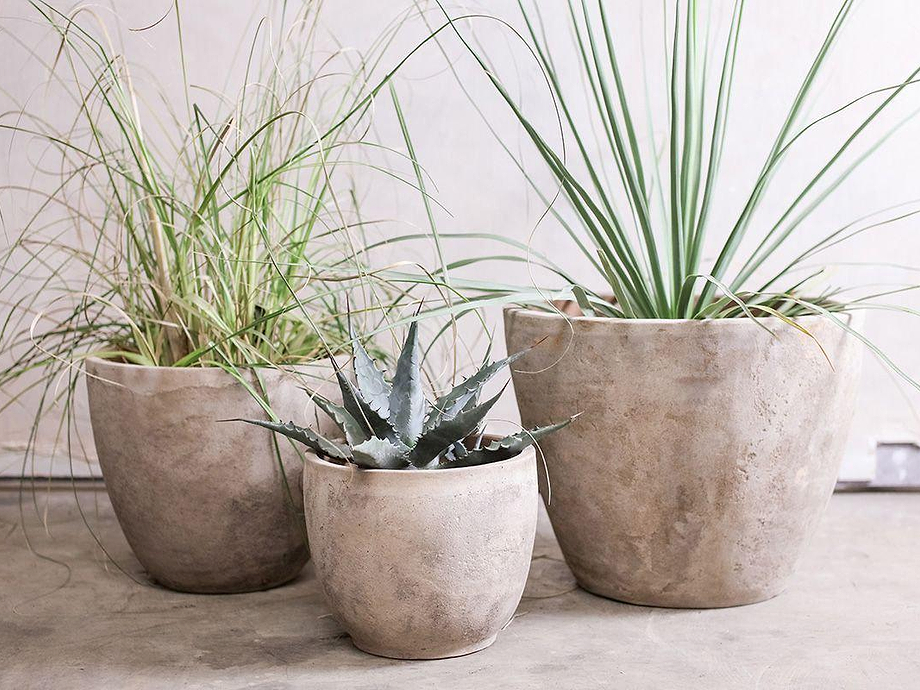 Affiti Clay Planter - Medium