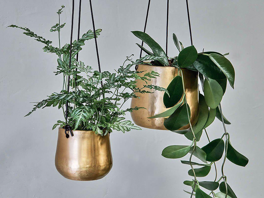 Atsu Brass Hanging Planter