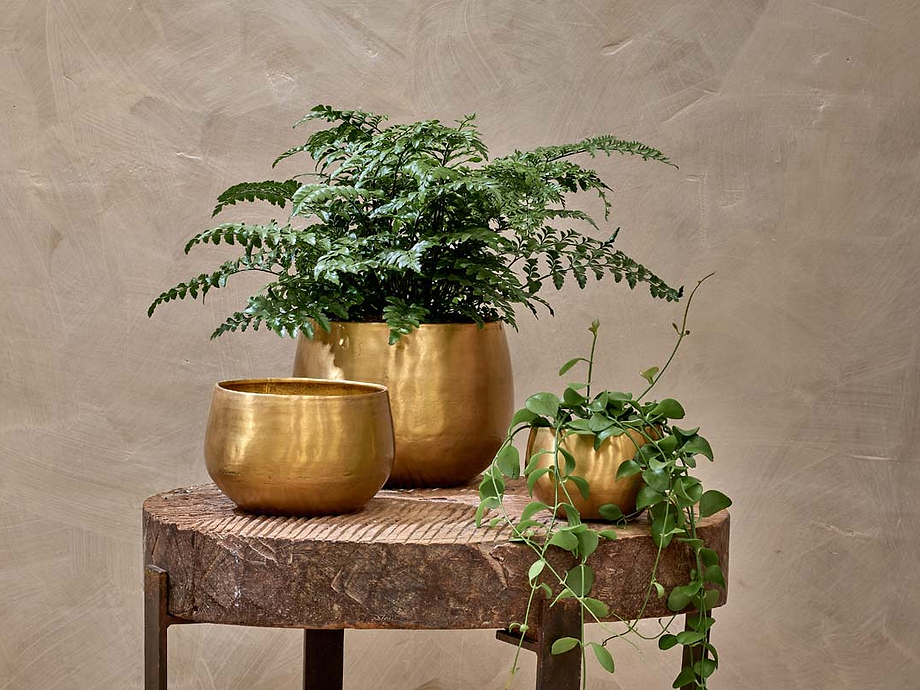 Atsu Brass Planter