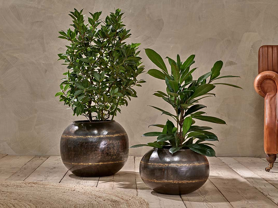 Endo Reclaimed Iron Globe Planter