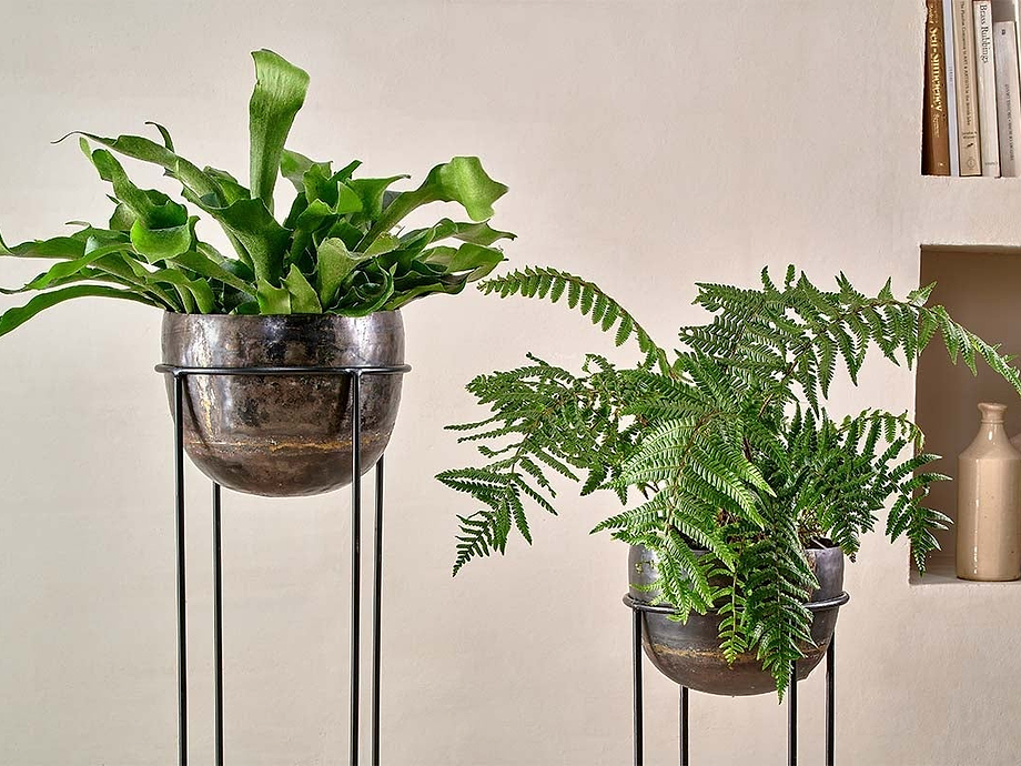 Endo Reclaimed Iron Planter Stand