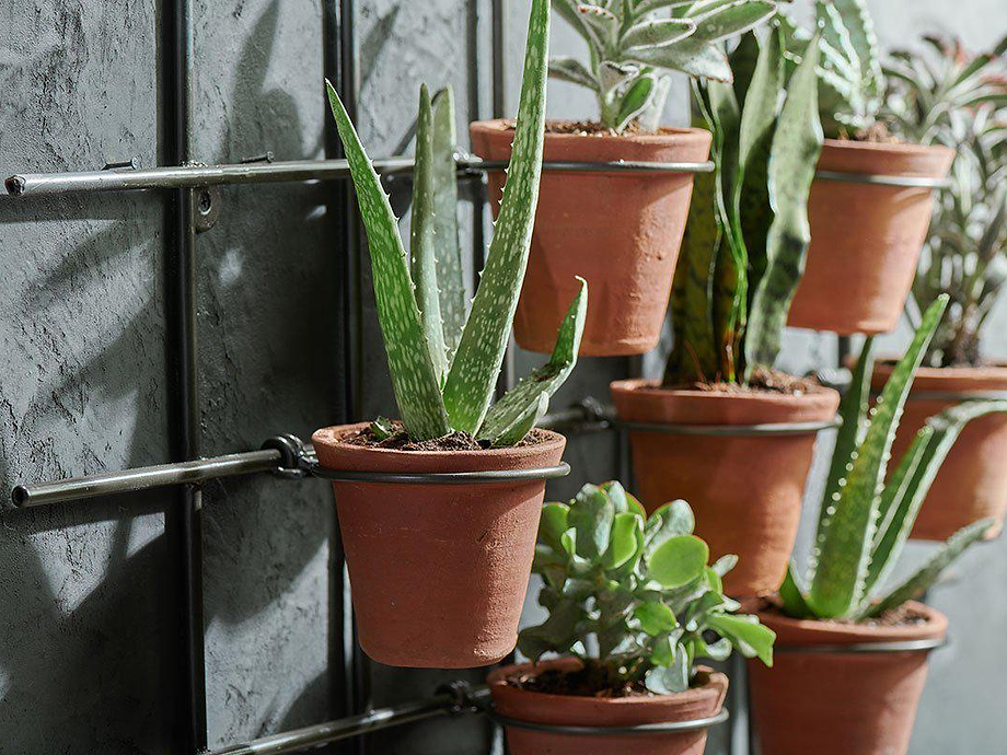 Jara Terracotta Wall Hung Planter