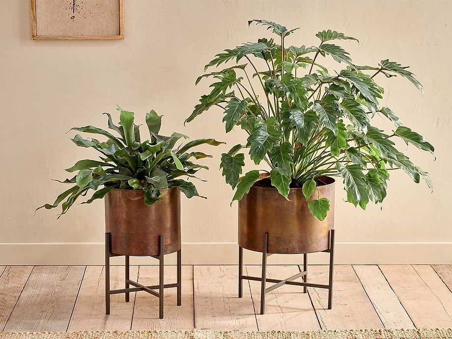 Juoni Iron Planter