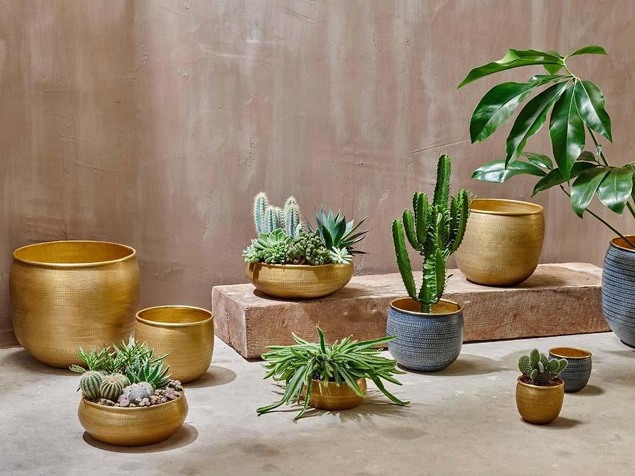 Tembesi Etched Planter - Antique Black & Brass