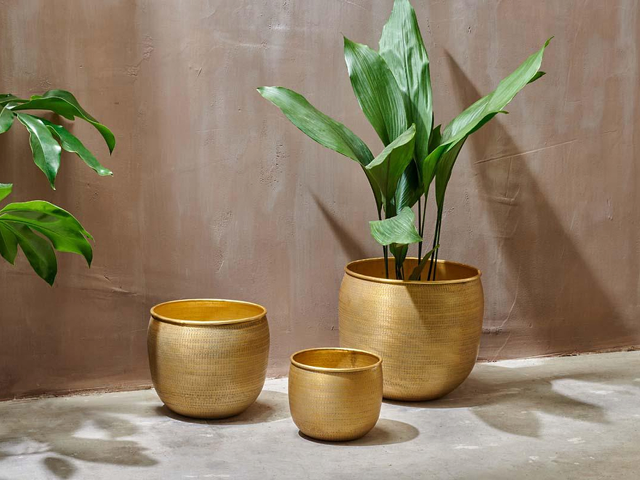 Tembesi Etched Planter - Antique Brass