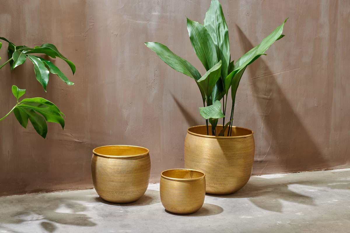 Tembesi Etched Planter