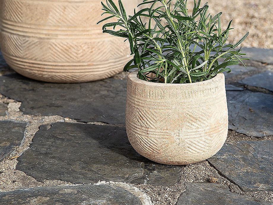 Zadie Etched Ceramic Planter - Neutral - Small