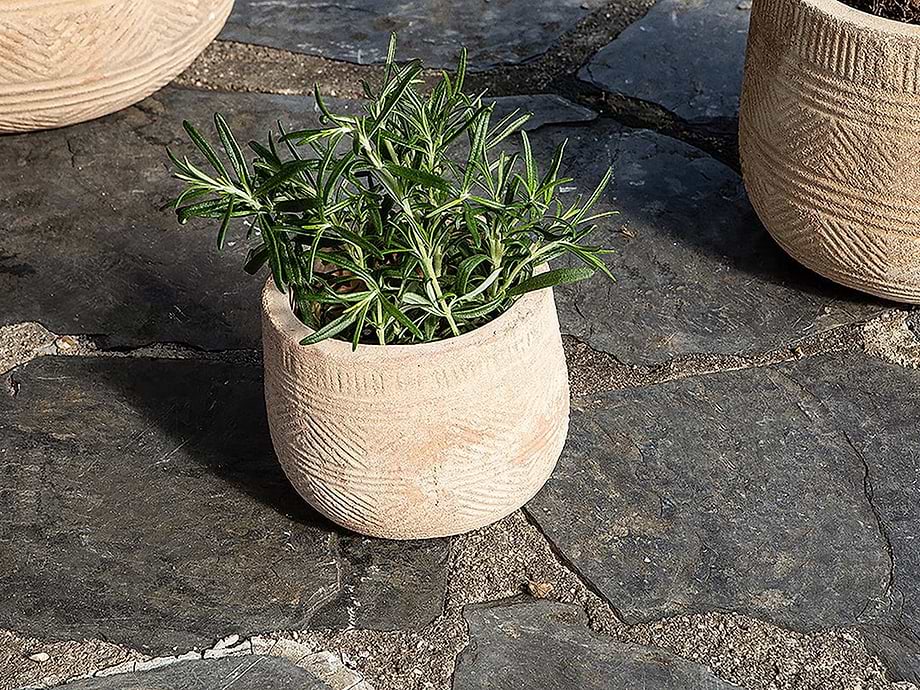 Zadie Etched Ceramic Planter - Neutral - Small