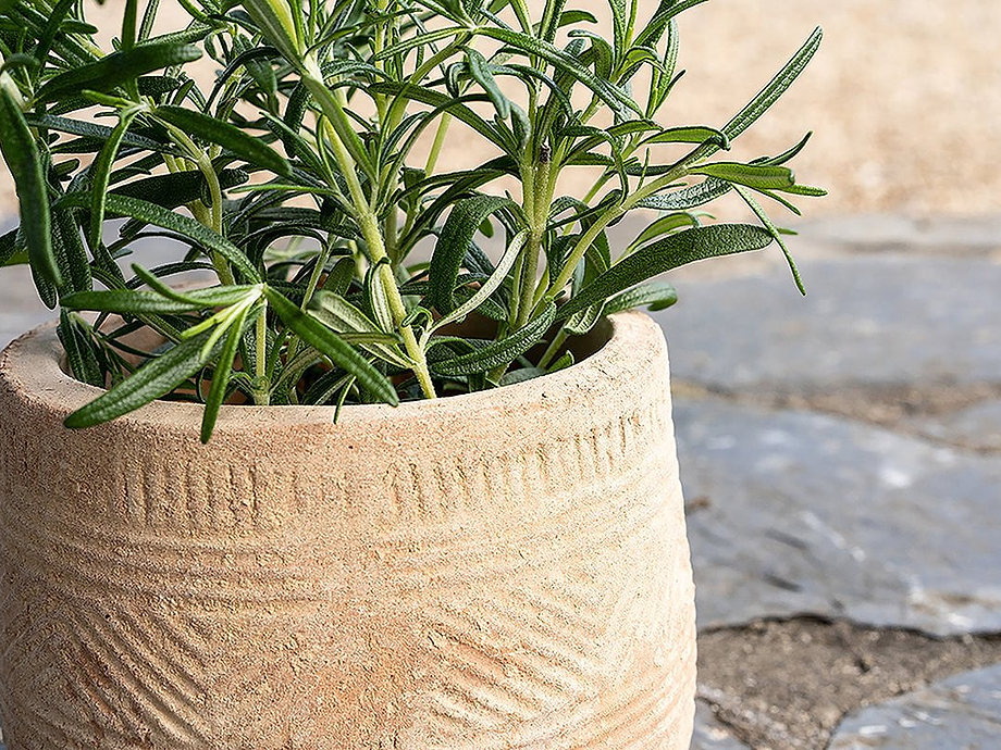 Zadie Etched Ceramic Planter - Neutral - Small